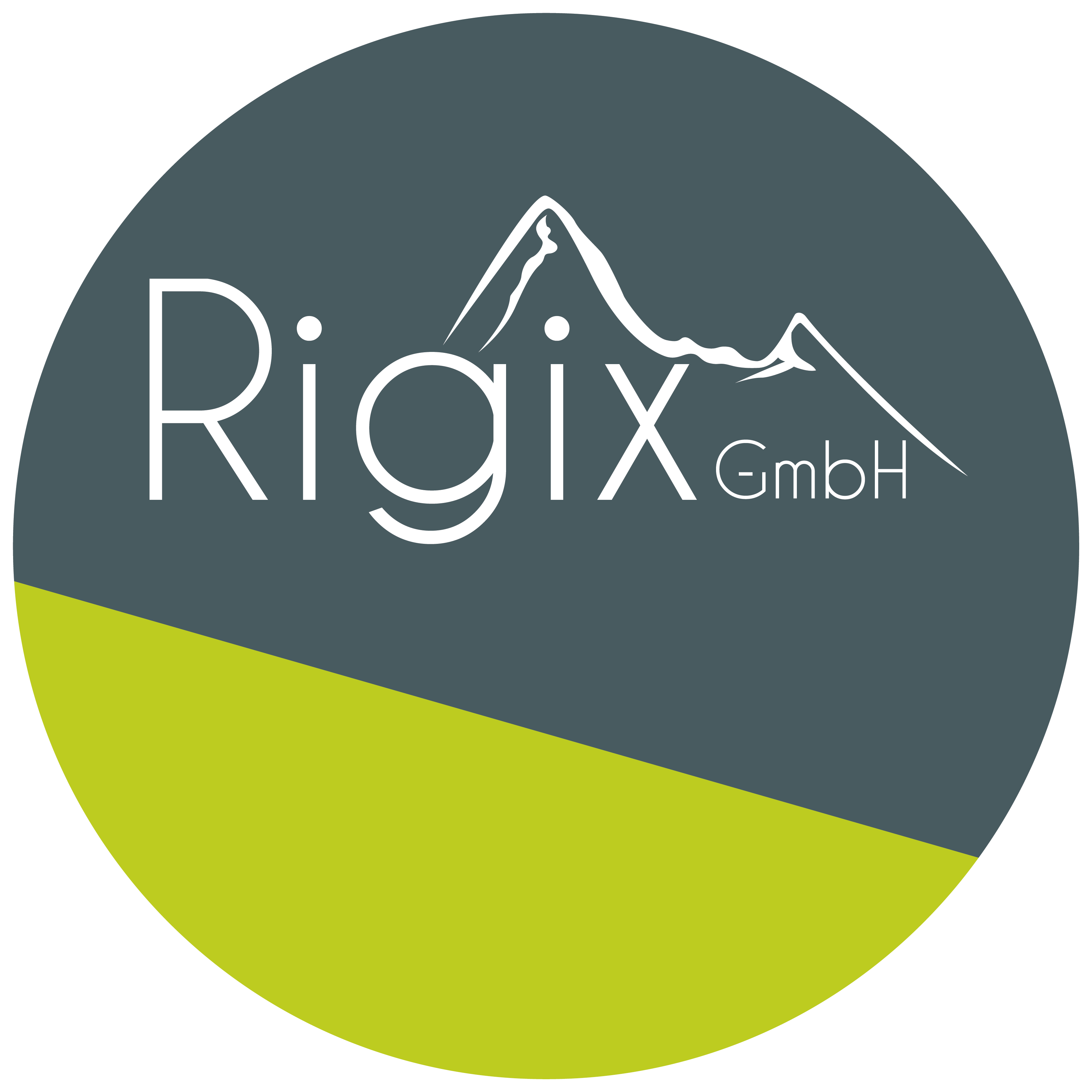 Logo Rigix GmbH